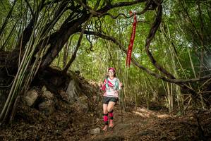 BIB: 
                            <button type="button" onclick="openModal(22178521)" class="btn btn-primary btn-sm float-right btn-popup" data-toggle="modal" data-target=".modal-high-quality">
                        <i class="fas fa-shopping-cart"></i> Add to Cart
                    </button>
                                            <button type="button" onclick="isThisMe(22178521, true)" class="btn btn-success btn-sm float-right btn-popup btn-isme hidden" data-toggle="tooltip" data-placement="bottom" title="นี่คือรูปของคุณใช่ไหม คลิกที่นี่เพื่อเอาเข้าอัลบั้ม">
                        <i class="fas fa-plus"></i> Add to album
                    </button>
                    <button type="button" onclick="isThisMe(22178521, false)" class="btn btn-warning btn-sm float-right btn-popup btn-isnotme hidden">
                        <i class="fas fa-ban"></i> Remove from album
                    </button>